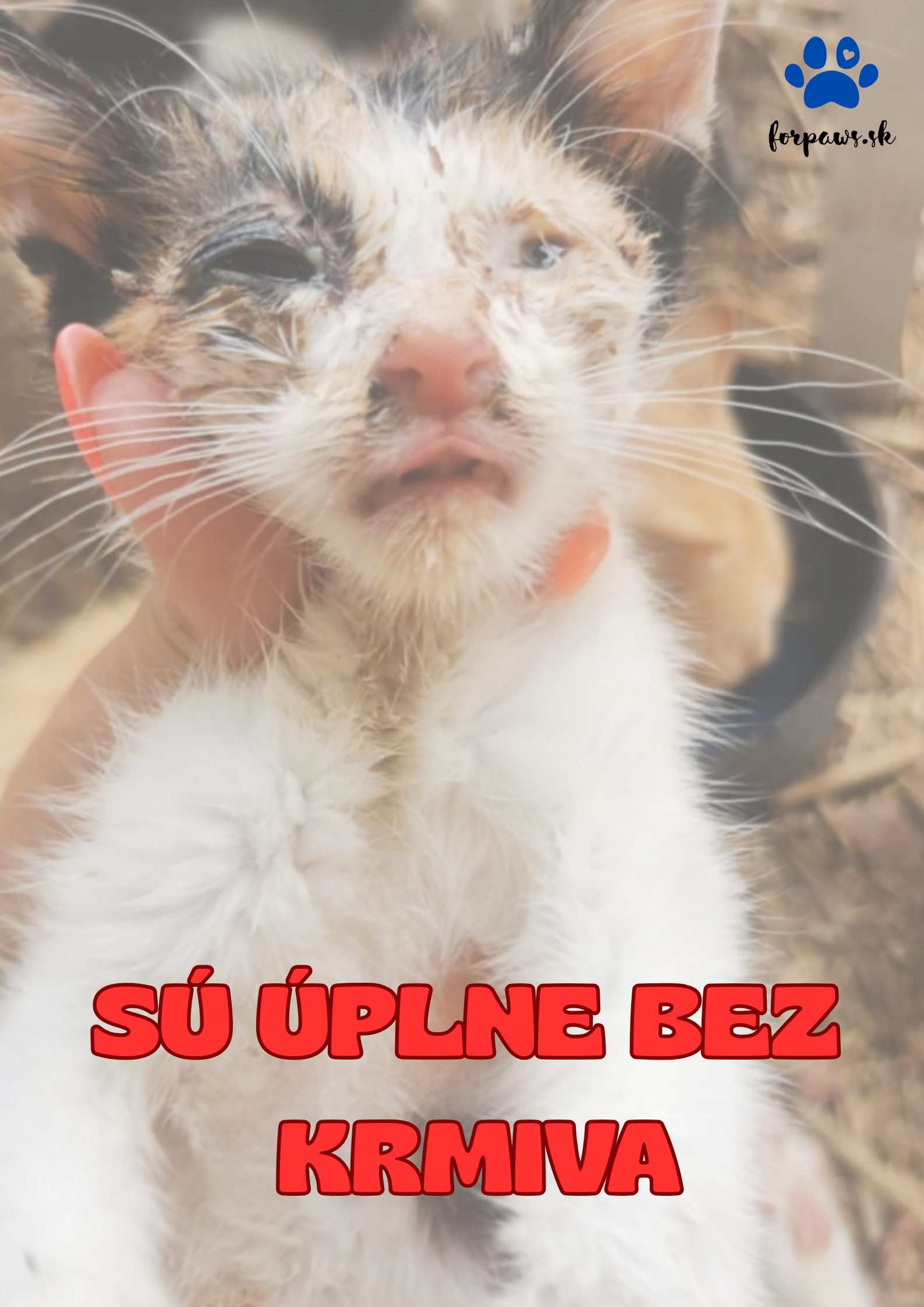 SÚ TOTÁLNE BEZ KRMIVA
